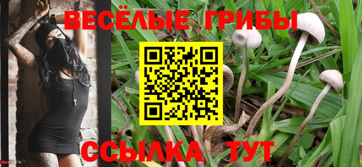 Кокаин  Вход с VPN  Луга  ГАШ  APVP СОЛЬ кристаллы  ГАШИШ  МДМА  Меф МЯУ МЯУ   Бошки Шишки 