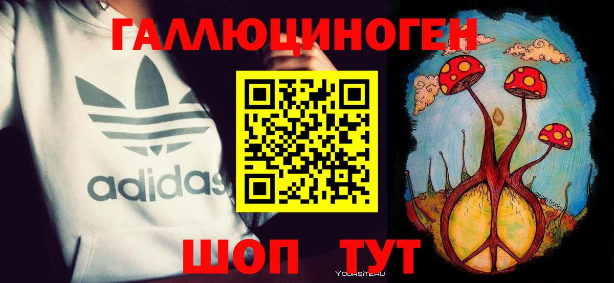 где купить наркоту  Вход с VPN  Луга  Псилоцибиновые грибы Psilocybe 