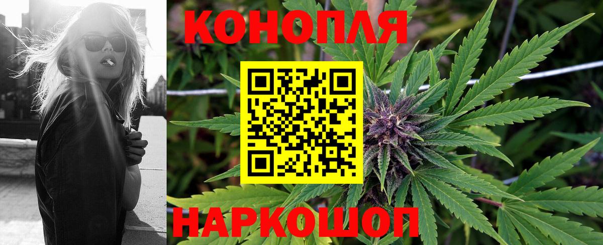 Марихуана гибрид  Вход с VPN  Каннабис тримм  Шишки марихуана планчик  Луга  Канабис план 